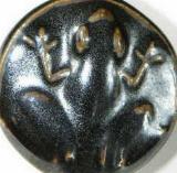 {short description of image}